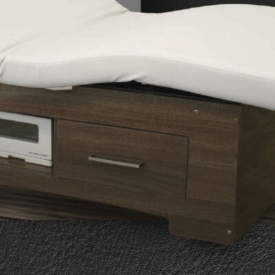 Option Drawer for Nevada Premium